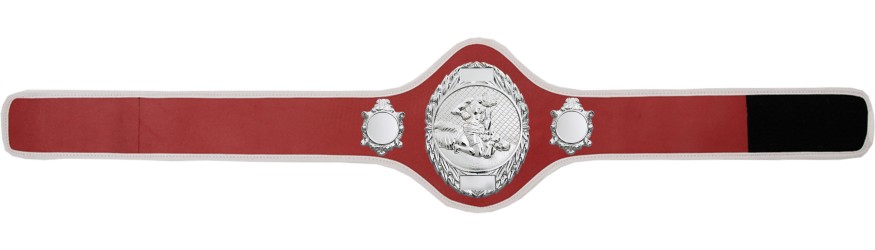 MMA CHAMPIONSHIP BELT-PRO286/S/MMAS-10+ COLOURS